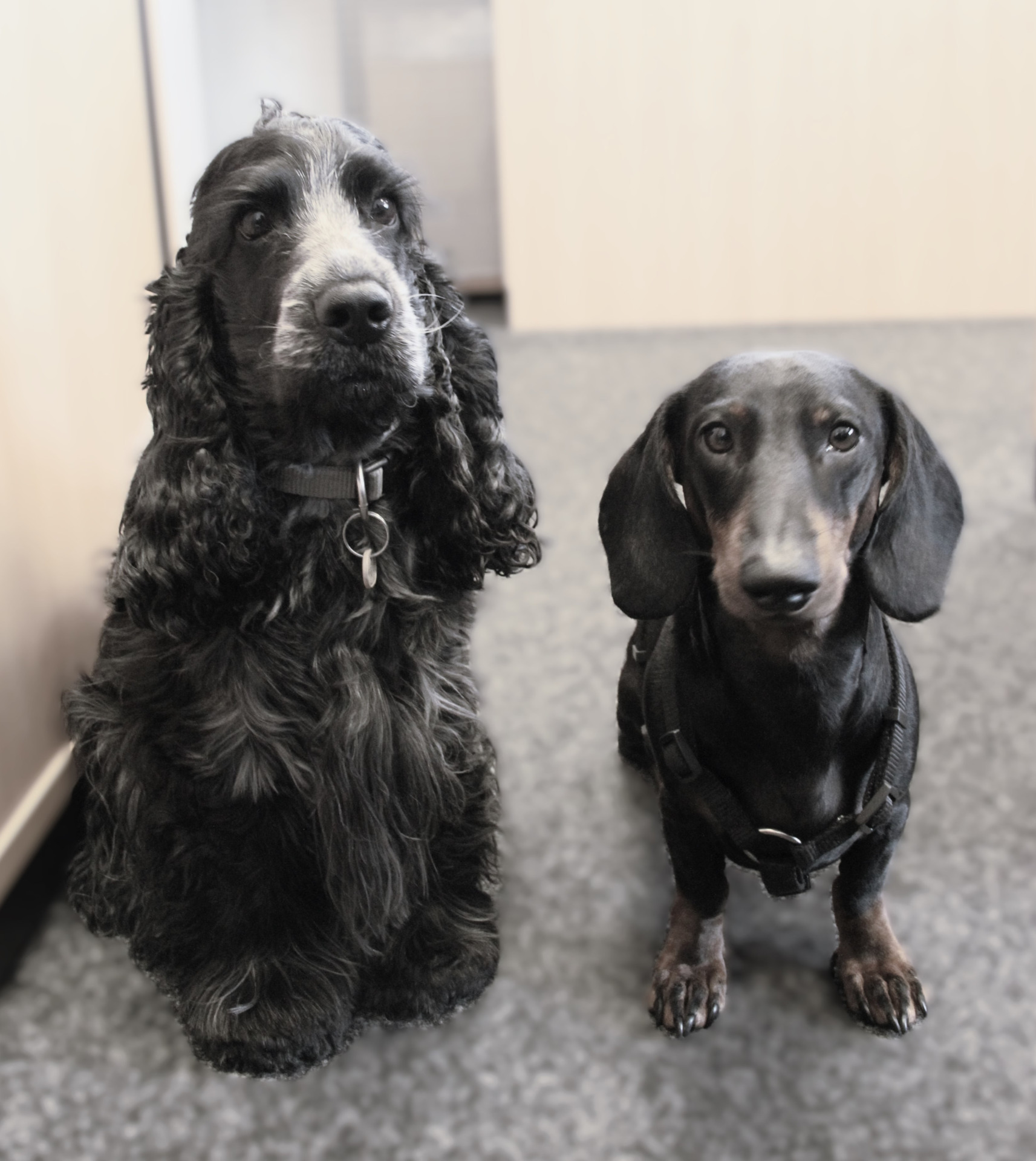 Jamie und Emil